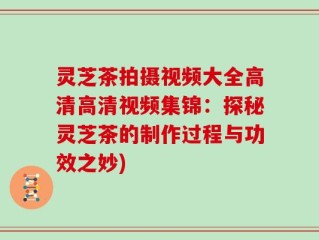 灵芝茶拍摄视频大全高清高清视频集锦：探秘灵芝茶的制作过程与功效之妙)