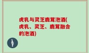 虎乳与灵芝鹿茸泡酒(虎乳、灵芝、鹿茸融合的泡酒)