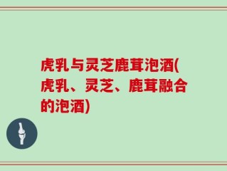 虎乳与灵芝鹿茸泡酒(虎乳、灵芝、鹿茸融合的泡酒)