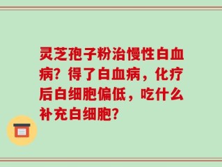 灵芝孢子粉治慢性白血病？得了白血病，化疗后白细胞偏低，吃什么补充白细胞？