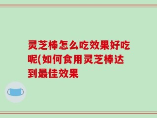 灵芝棒怎么吃效果好吃呢(如何食用灵芝棒达到最佳效果