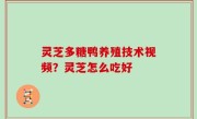 灵芝多糖鸭养殖技术视频？灵芝怎么吃好
