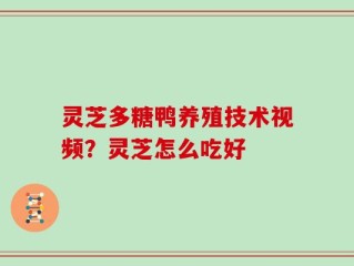 灵芝多糖鸭养殖技术视频？灵芝怎么吃好