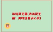 浓汤灵芝菌(浓汤灵芝菌：美味佳肴润心灵)