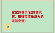 宝宝野生灵芝(野生灵芝：增强宝宝免疫力的天然之选)