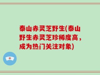 泰山赤灵芝野生(泰山野生赤灵芝珍稀度高，成为热门关注对象)