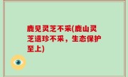 鹿见灵芝不采(鹿山灵芝遗珍不采，生态保护至上)