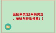 蓝区采灵芝(采摘灵芝，美味与养生并重！)