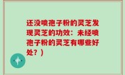 还没喷孢子粉的灵芝发现灵芝的功效：未经喷孢子粉的灵芝有哪些好处？)