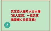 灵芝感人图片大全大图(感人至深：一组灵芝美图暖心治愈你我)