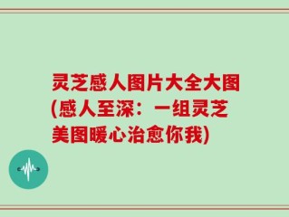 灵芝感人图片大全大图(感人至深：一组灵芝美图暖心治愈你我)