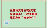三萜与灵芝三萜(灵芝皮孔菌素：一种来自灵芝的身体“守护神”)