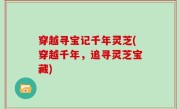 穿越寻宝记千年灵芝(穿越千年，追寻灵芝宝藏)