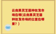 云南黑灵芝菌种批发市场在哪(云南黑灵芝菌种批发市场的位置在哪里？)
