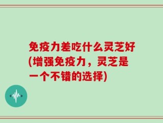 免疫力差吃什么灵芝好(增强免疫力，灵芝是一个不错的选择)