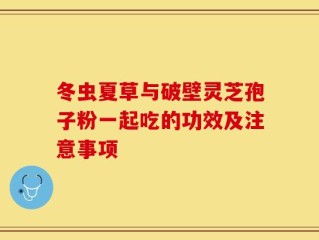 冬虫夏草与破壁灵芝孢子粉一起吃的功效及注意事项
