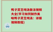鸭子灵芝炖汤做法视频大全(学习如何制作美味鸭子灵芝炖汤：详细视频教程)