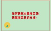 如何获取大量海灵芝(获取海灵芝的方法)
