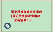 灵芝种植考察注意事项(灵芝种植需注意事项，全面解读！)
