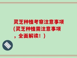 灵芝种植考察注意事项(灵芝种植需注意事项，全面解读！)