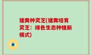 猪粪种灵芝(猪粪培育灵芝：绿色生态种植新模式)
