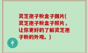 灵芝孢子粉盒子图片(灵芝孢子粉盒子照片，让你更好的了解灵芝孢子粉的外观。)