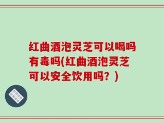 红曲酒泡灵芝可以喝吗有毒吗(红曲酒泡灵芝可以安全饮用吗？)
