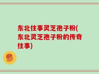 东北往事灵芝孢子粉(东北灵芝孢子粉的传奇往事)