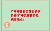 广宁哪里有灵芝卖的啊价格(广宁灵芝售价及购买地点)
