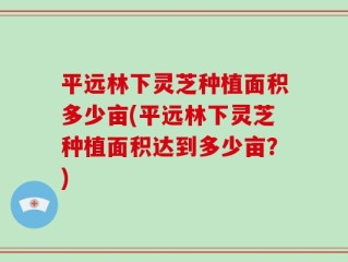 平远林下灵芝种植面积多少亩(平远林下灵芝种植面积达到多少亩？)