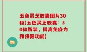 五色灵芝胶囊图片30粒(五色灵芝胶囊：30粒瓶装，提高免疫力和保健功能)