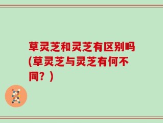 草灵芝和灵芝有区别吗(草灵芝与灵芝有何不同？)