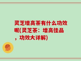 灵芝增高茶有什么功效呢(灵芝茶：增高佳品，功效大详解)