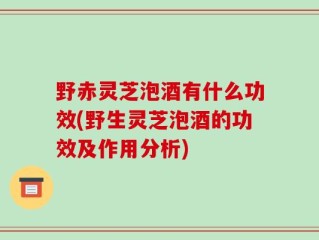 野赤灵芝泡酒有什么功效(野生灵芝泡酒的功效及作用分析)