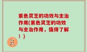 紫色灵芝的功效与主治作用(紫色灵芝的功效与主治作用，值得了解！)