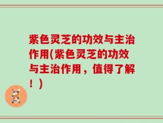 紫色灵芝的功效与主治作用(紫色灵芝的功效与主治作用，值得了解！)