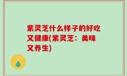 紫灵芝什么样子的好吃又健康(紫灵芝：美味又养生)