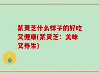 紫灵芝什么样子的好吃又健康(紫灵芝：美味又养生)