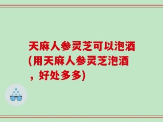 天麻人参灵芝可以泡酒(用天麻人参灵芝泡酒，好处多多)