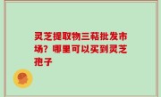 灵芝提取物三萜批发市场？哪里可以买到灵芝孢子