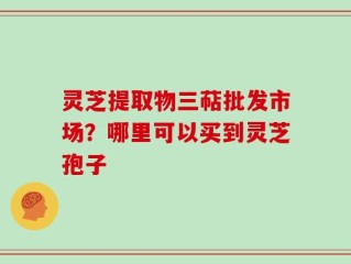 灵芝提取物三萜批发市场？哪里可以买到灵芝孢子