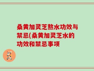 桑黄加灵芝熬水功效与禁忌(桑黄加灵芝水的功效和禁忌事项