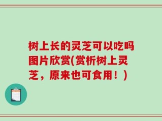 树上长的灵芝可以吃吗图片欣赏(赏析树上灵芝，原来也可食用！)