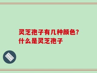 灵芝孢子有几种颜色？什么是灵芝孢子
