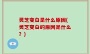 灵芝变白是什么原因(灵芝变白的原因是什么？)