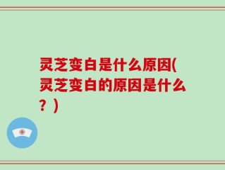 灵芝变白是什么原因(灵芝变白的原因是什么？)