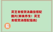 灵芝青榄煲汤最佳搭配图片(鲜美养生！灵芝青榄煲汤搭配指南)