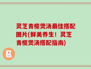 灵芝青榄煲汤最佳搭配图片(鲜美养生！灵芝青榄煲汤搭配指南)