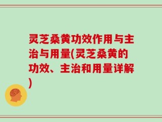 灵芝桑黄功效作用与主治与用量(灵芝桑黄的功效、主治和用量详解)