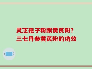 灵芝孢子粉跟黄芪粉？三七丹参黄芪粉的功效